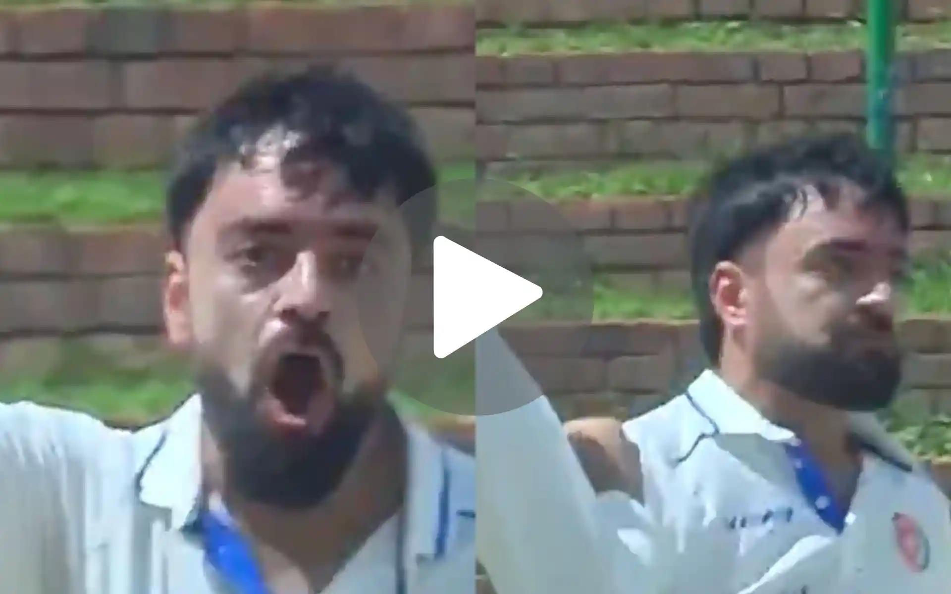 [Watch] Rashid Khan's Angry Celebration After Hypnotising Zimbabwe With His Magic